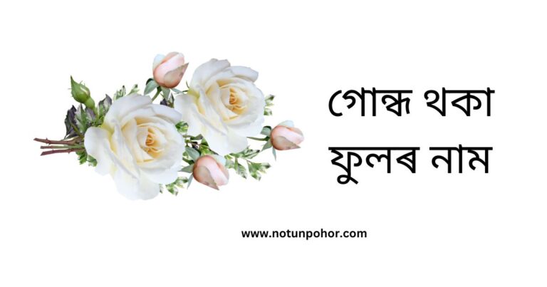 গোন্ধ থকা ফুলৰ নাম