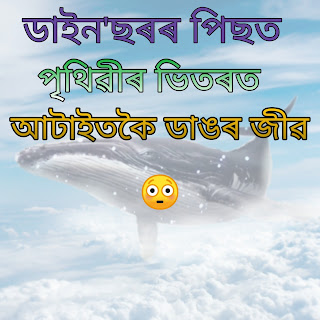 পৃথিৱীৰ ভিতৰত আটাইতকৈ ডাঙৰ জীৱ