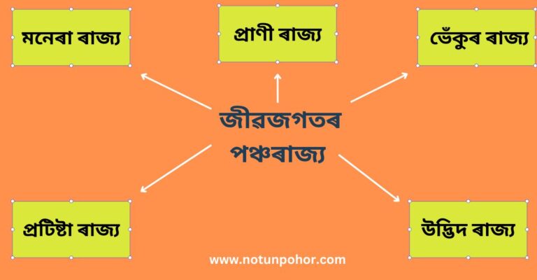 জীৱজগতৰ পঞ্চৰাজ্য