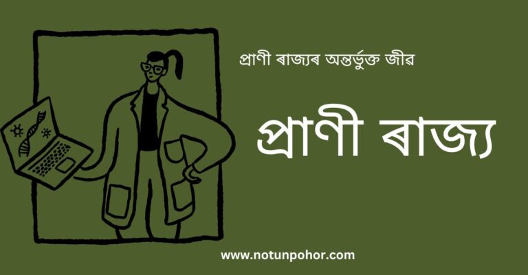 প্ৰাণী ৰাজ্যৰ অন্তৰ্ভুক্ত জীৱ